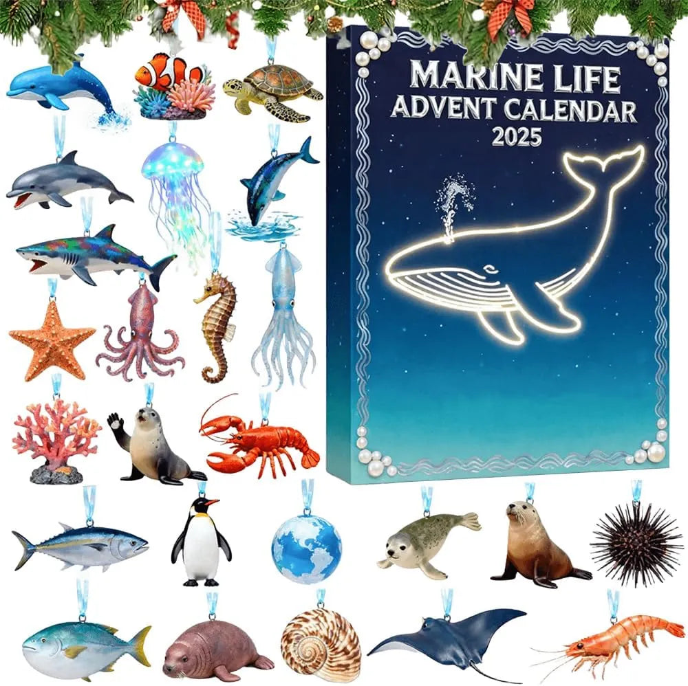 Marine Live Advent Calendar 2025