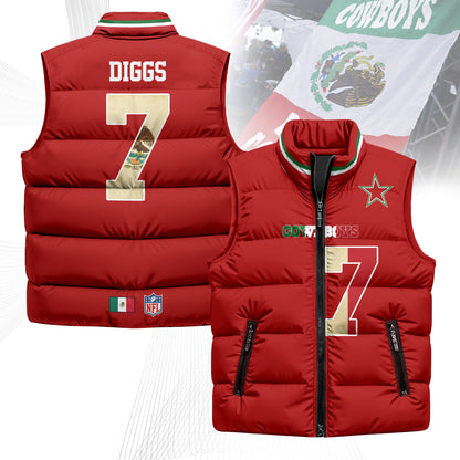 DC Mexico Puffer Vest