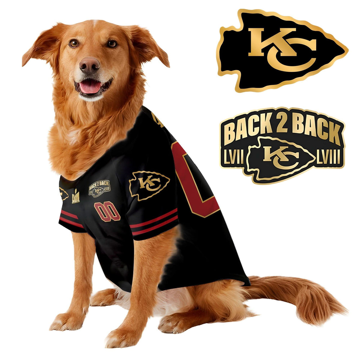 KCC Super Bowl Champions Pet Coat - Gifts for Pet Lovers