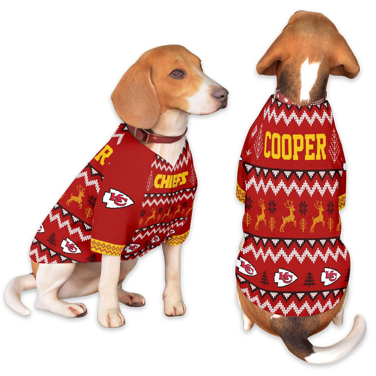 KCC Family Holiday Ugly Sweater Pet Coat