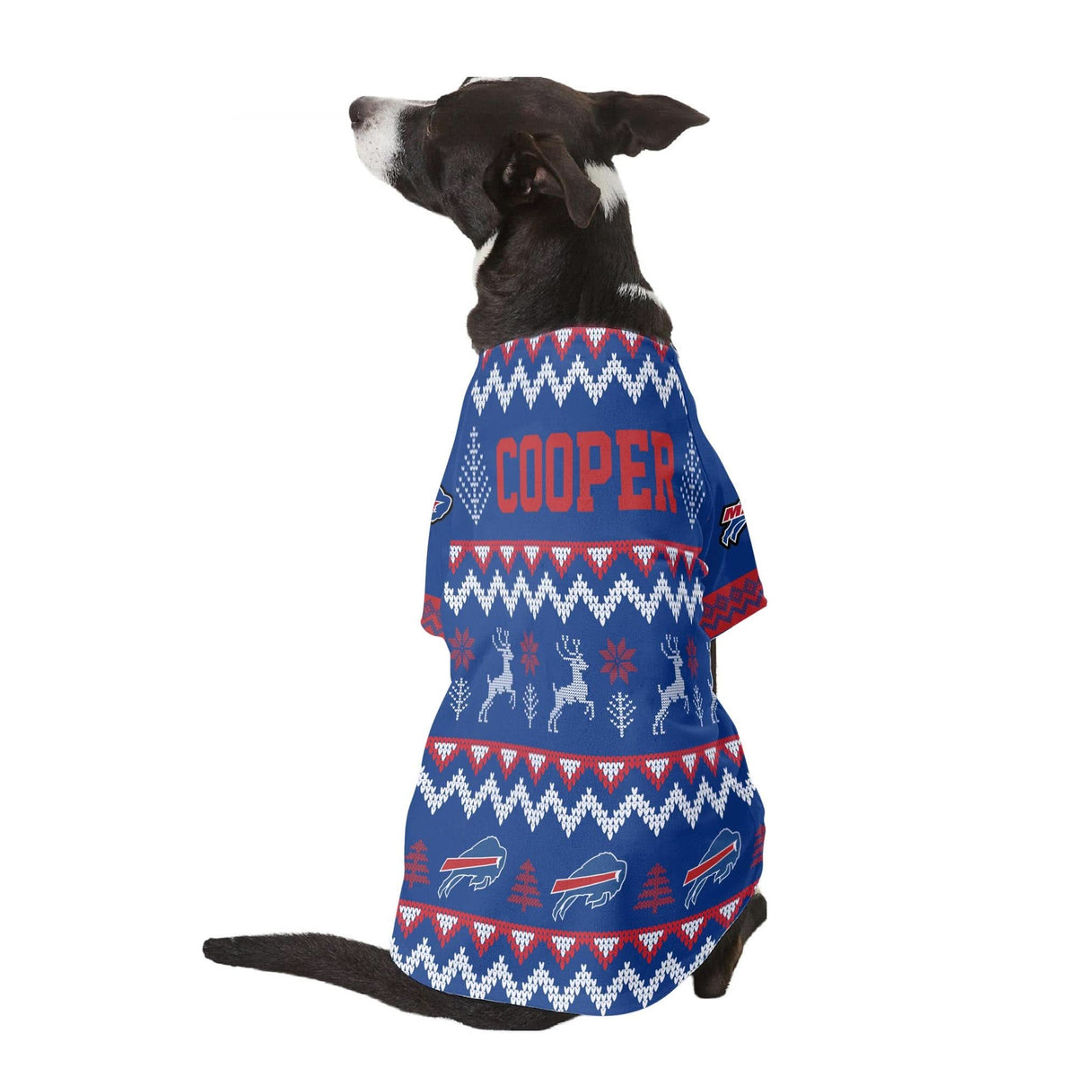 BB Family Holiday Ugly Sweater Pet Coat