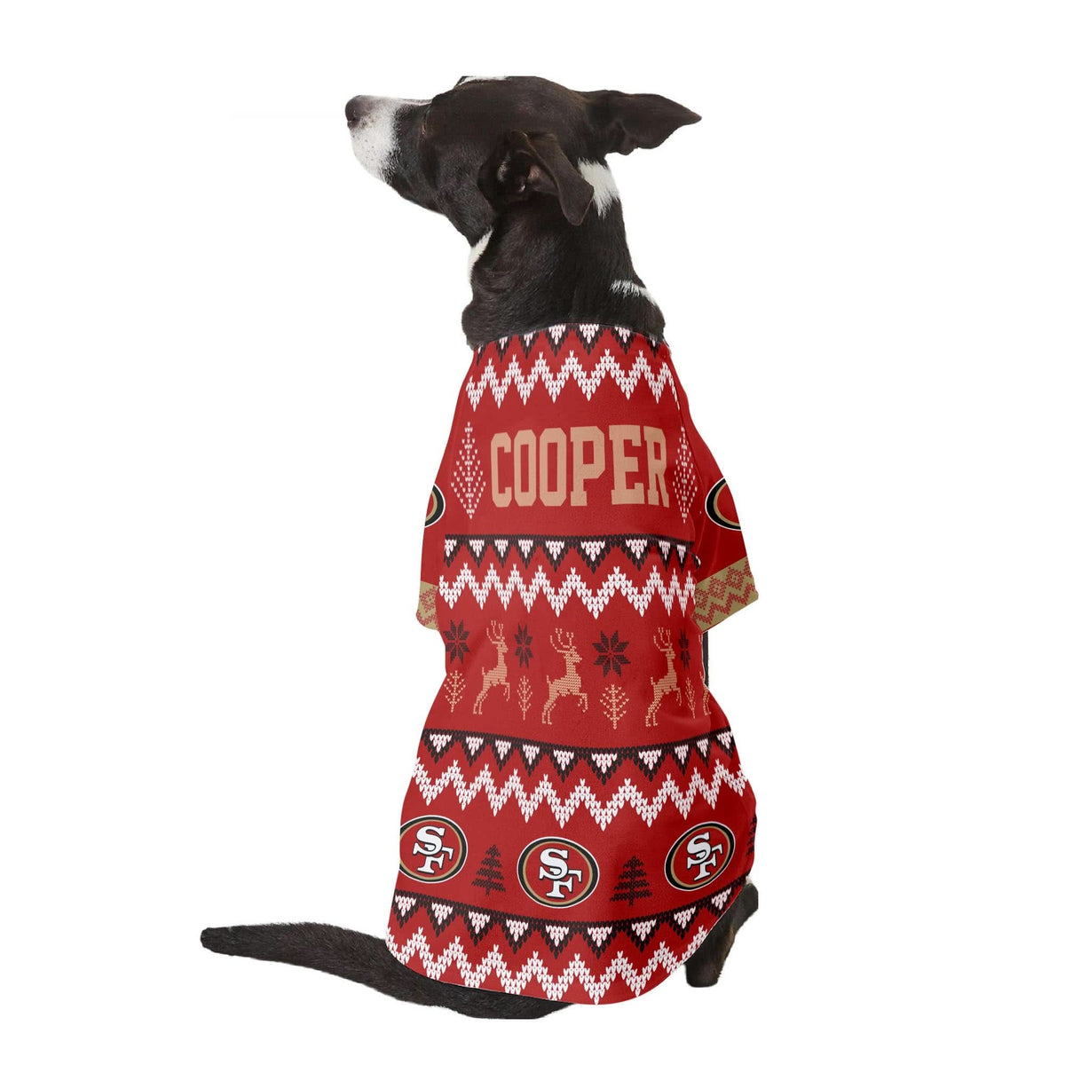 SF Family Holiday Ugly Sweater Pet Coat