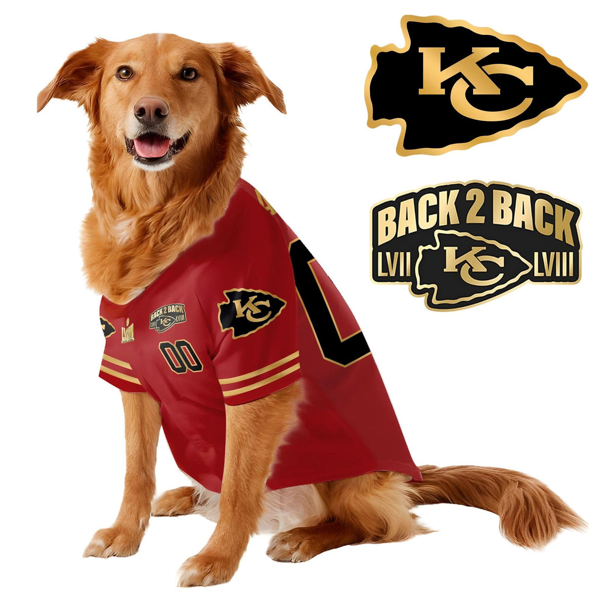 KCC Super Bowl Champions Pet Coat - Gifts for Pet Lovers