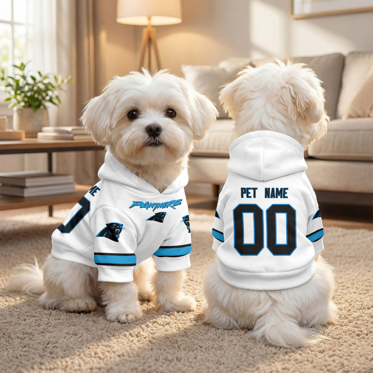 CAR Pet Hoodie