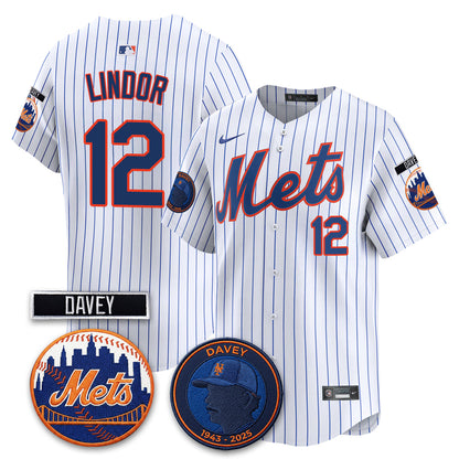NYM 2026 Davey Johnson In Memoriam Vapor Limited Jersey - Stitched